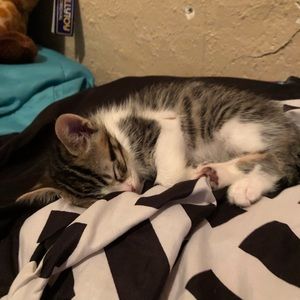 Meet your Posher, Mariana